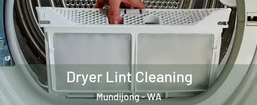 Dryer Lint Cleaning Mundijong - WA