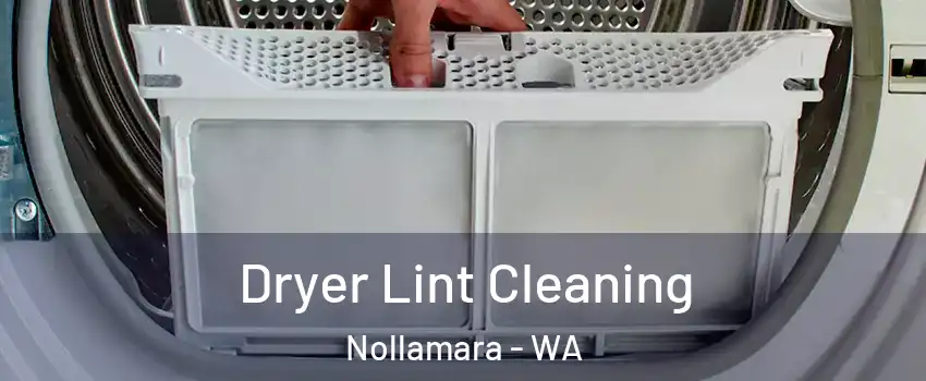 Dryer Lint Cleaning Nollamara - WA