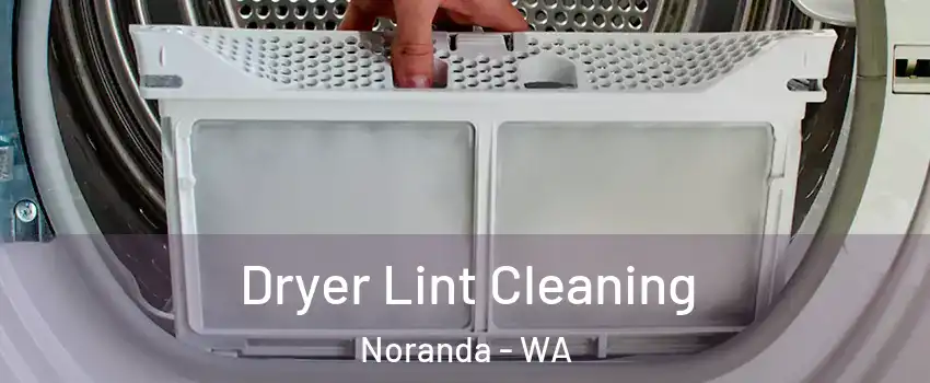 Dryer Lint Cleaning Noranda - WA