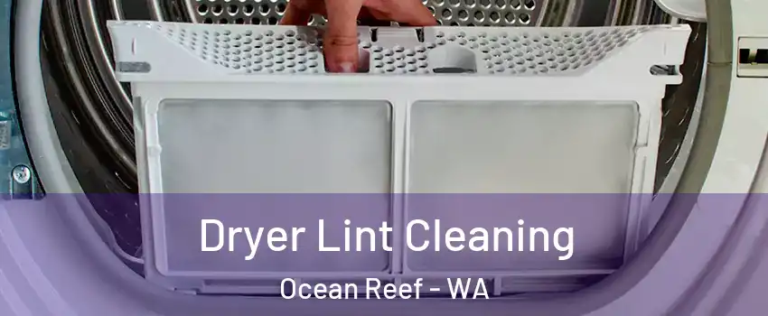 Dryer Lint Cleaning Ocean Reef - WA