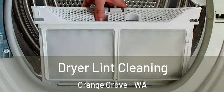 Dryer Lint Cleaning Orange Grove - WA