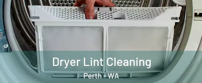 Dryer Lint Cleaning Perth - WA