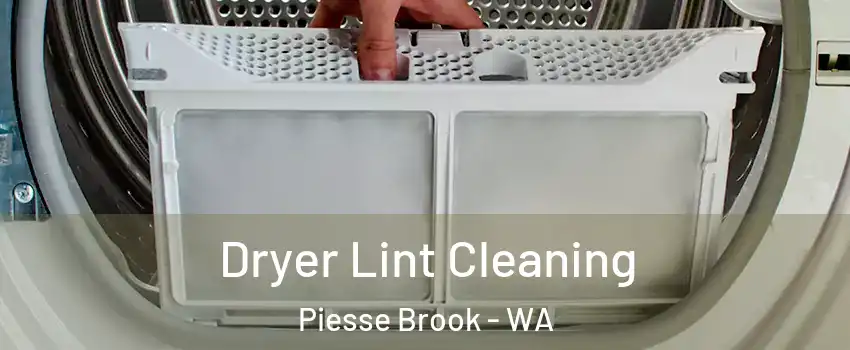 Dryer Lint Cleaning Piesse Brook - WA