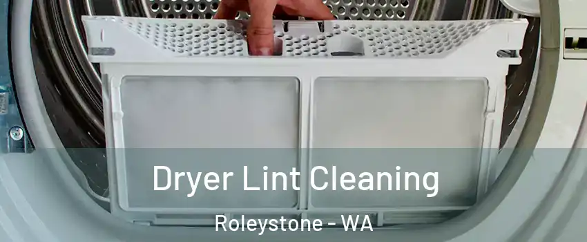 Dryer Lint Cleaning Roleystone - WA