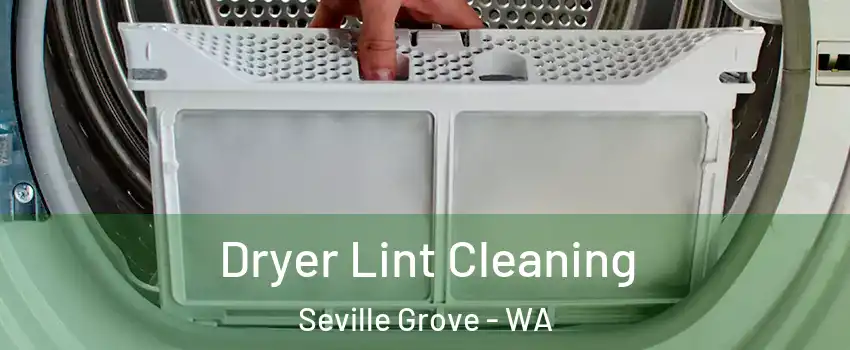 Dryer Lint Cleaning Seville Grove - WA