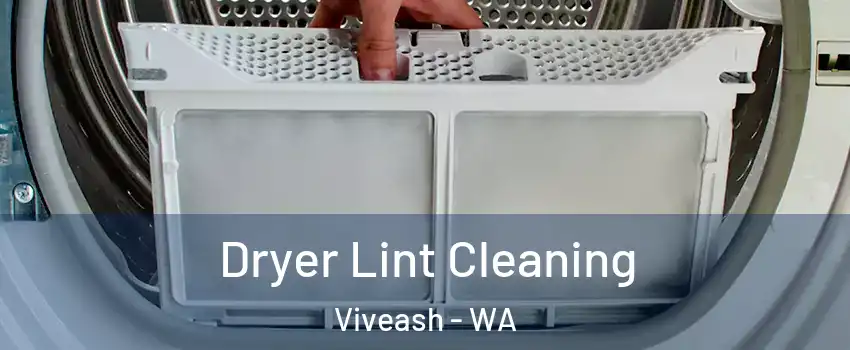 Dryer Lint Cleaning Viveash - WA