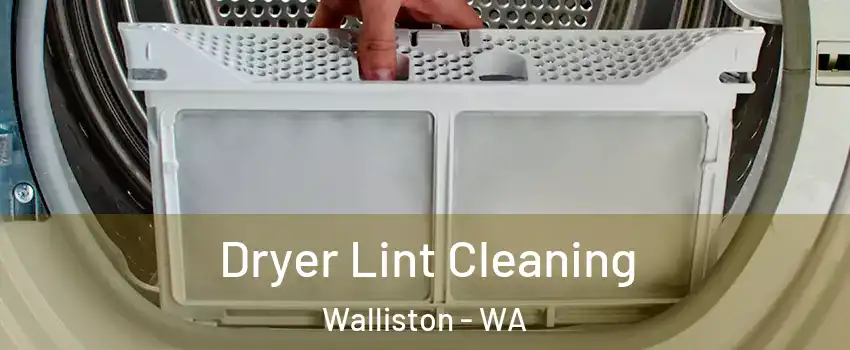 Dryer Lint Cleaning Walliston - WA