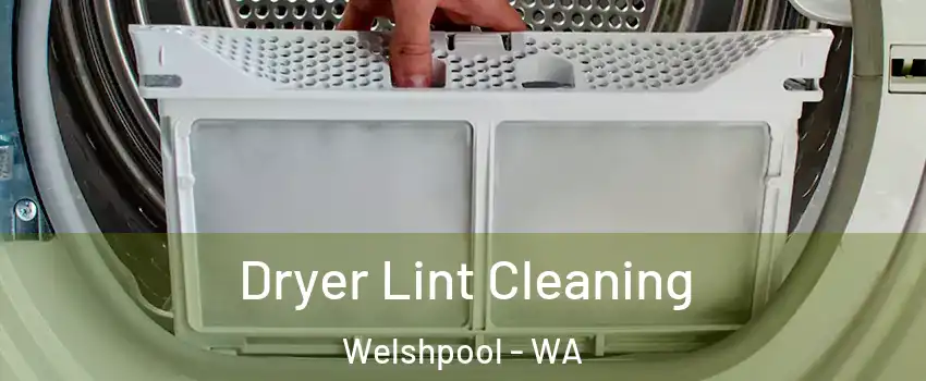Dryer Lint Cleaning Welshpool - WA