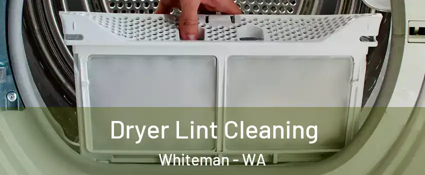 Dryer Lint Cleaning Whiteman - WA