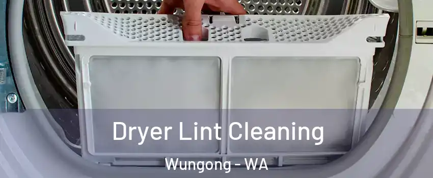 Dryer Lint Cleaning Wungong - WA