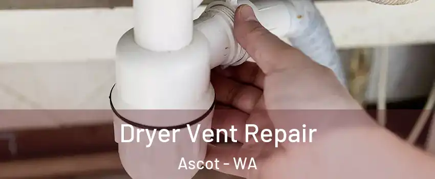 Dryer Vent Repair Ascot - WA