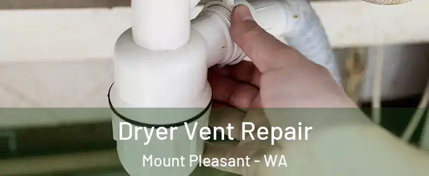 Dryer Vent Repair Mount Pleasant - WA