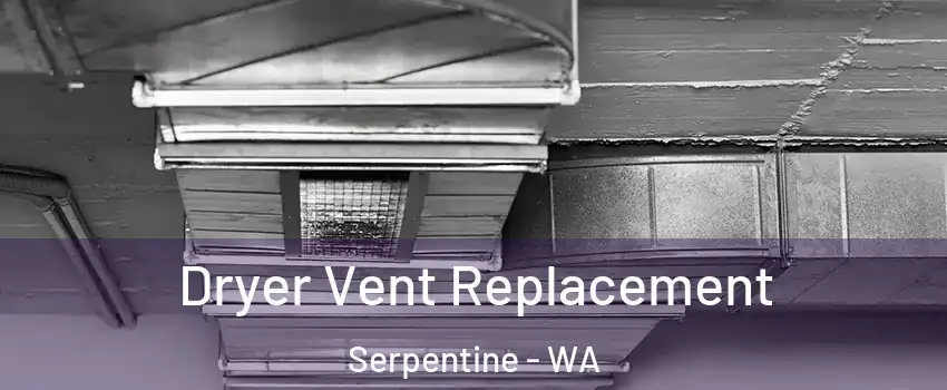 Dryer Vent Replacement Serpentine - WA