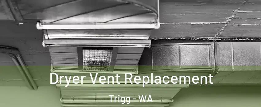 Dryer Vent Replacement Trigg - WA