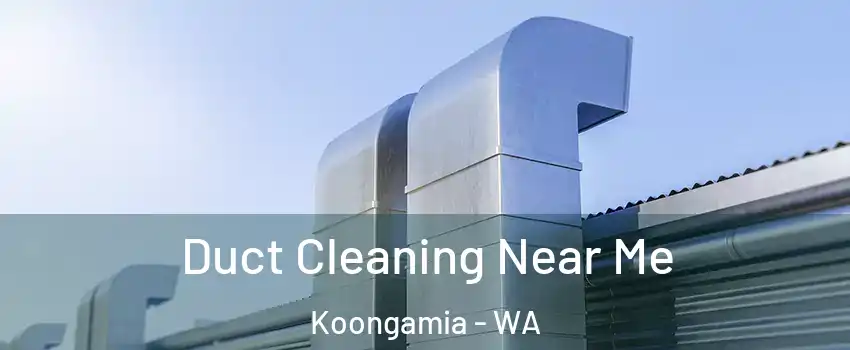 Duct Cleaning Near Me Koongamia - WA