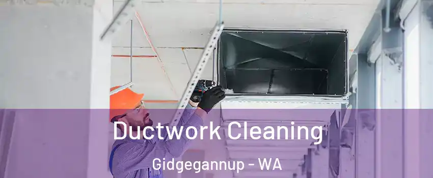 Ductwork Cleaning Gidgegannup - WA