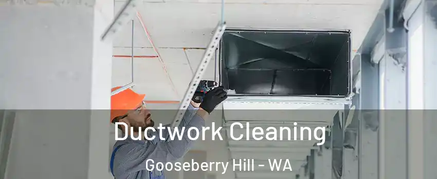 Ductwork Cleaning Gooseberry Hill - WA