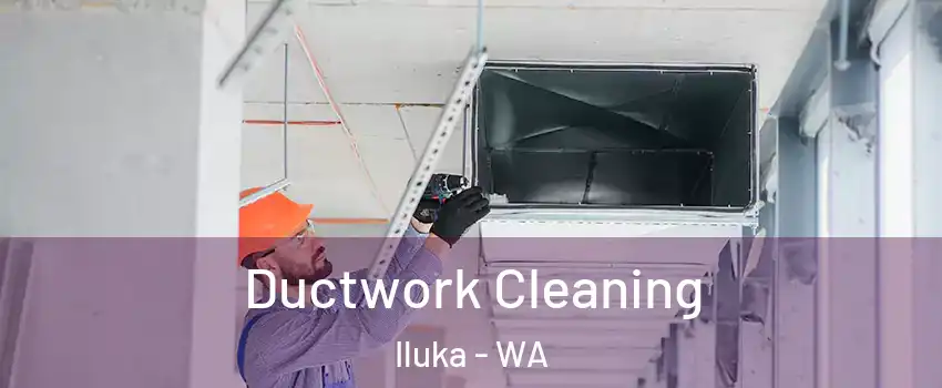 Ductwork Cleaning Iluka - WA