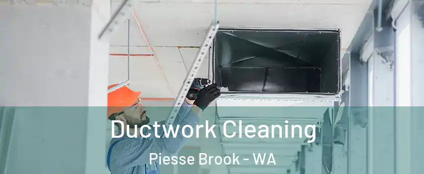 Ductwork Cleaning Piesse Brook - WA