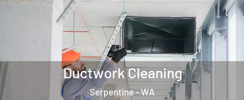 Ductwork Cleaning Serpentine - WA