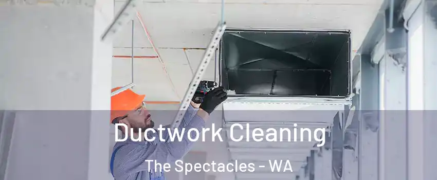 Ductwork Cleaning The Spectacles - WA