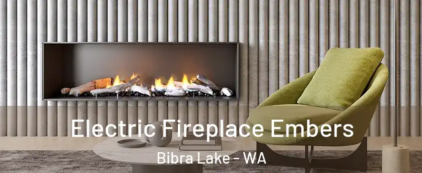 Electric Fireplace Embers Bibra Lake - WA