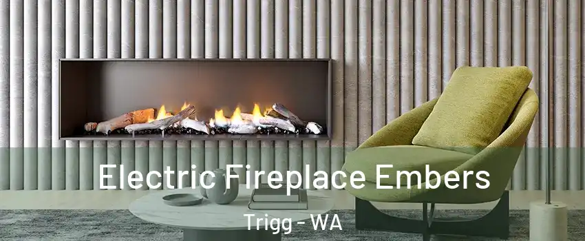 Electric Fireplace Embers Trigg - WA