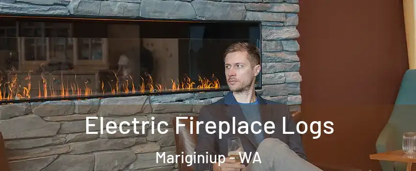 Electric Fireplace Logs Mariginiup - WA