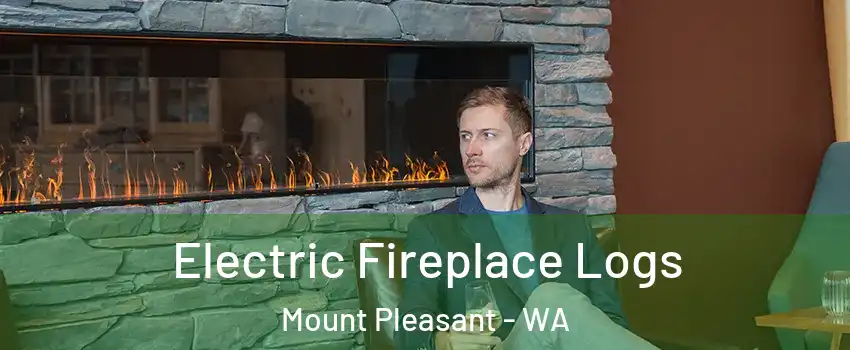 Electric Fireplace Logs Mount Pleasant - WA