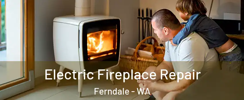 Electric Fireplace Repair Ferndale - WA