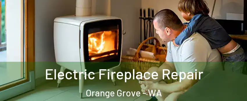 Electric Fireplace Repair Orange Grove - WA