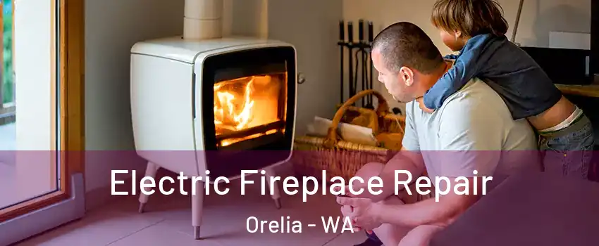 Electric Fireplace Repair Orelia - WA