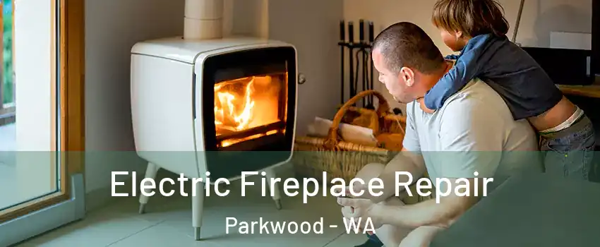 Electric Fireplace Repair Parkwood - WA