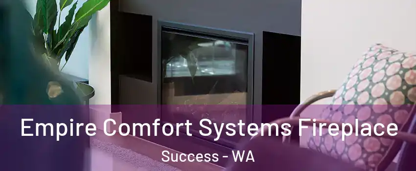 Empire Comfort Systems Fireplace Success - WA