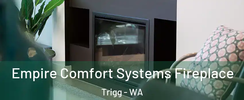 Empire Comfort Systems Fireplace Trigg - WA