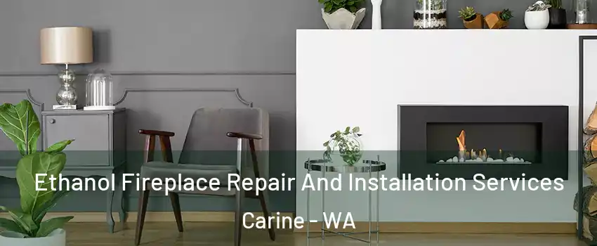 Ethanol Fireplace Repair And Installation Services Carine - WA