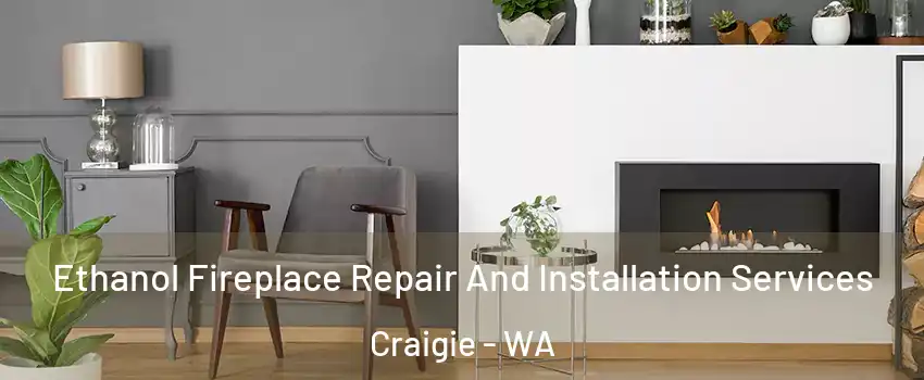  Ethanol Fireplace Repair And Installation Services Craigie - WA