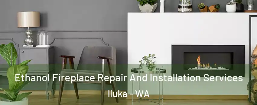 Ethanol Fireplace Repair And Installation Services Iluka - WA