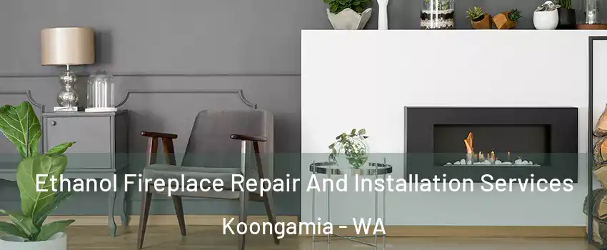 Ethanol Fireplace Repair And Installation Services Koongamia - WA