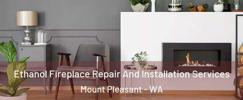 Ethanol Fireplace Repair And Installation Services Mount Pleasant - WA
