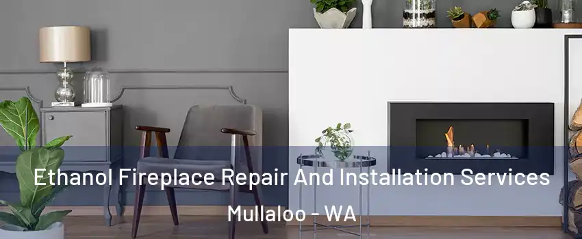 Ethanol Fireplace Repair And Installation Services Mullaloo - WA