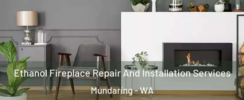 Ethanol Fireplace Repair And Installation Services Mundaring - WA
