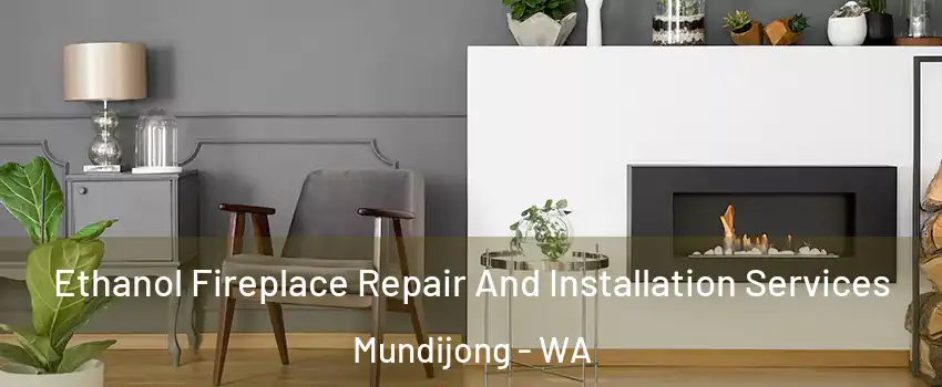 Ethanol Fireplace Repair And Installation Services Mundijong - WA