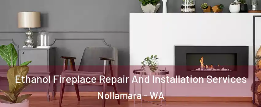 Ethanol Fireplace Repair And Installation Services Nollamara - WA