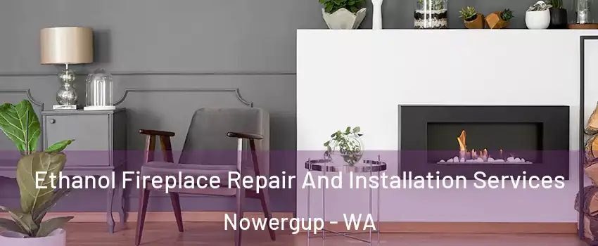 Ethanol Fireplace Repair And Installation Services Nowergup - WA
