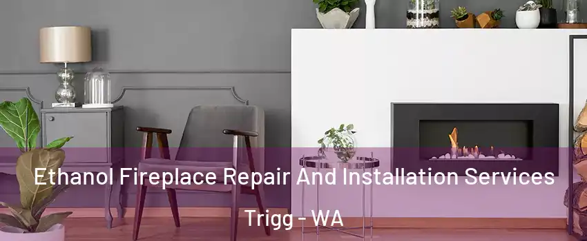 Ethanol Fireplace Repair And Installation Services Trigg - WA