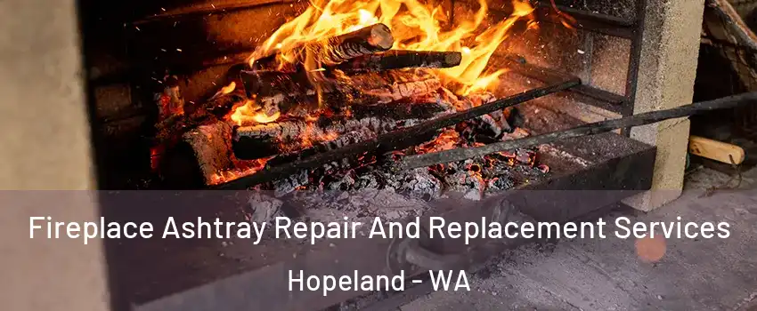 Fireplace Ashtray Repair And Replacement Services Hopeland - WA