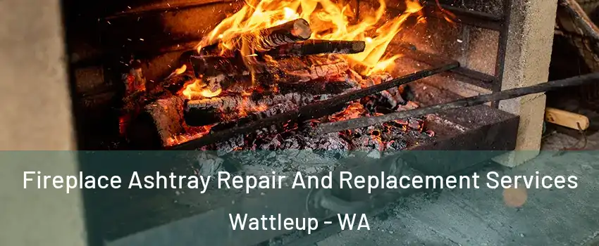 Fireplace Ashtray Repair And Replacement Services Wattleup - WA