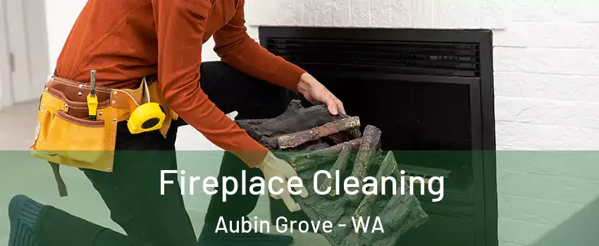 Fireplace Cleaning Aubin Grove - WA