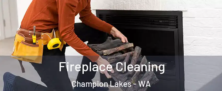 Fireplace Cleaning Champion Lakes - WA